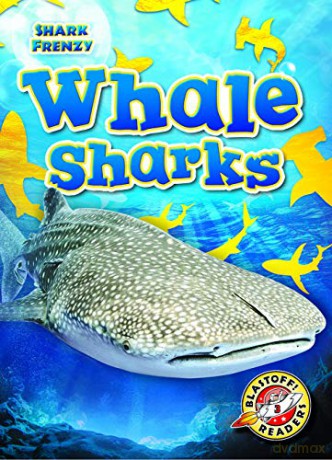 Whale Sharks - Rebecca Pettiford [KSIĄŻKA]