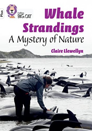 Whale Strandings Band 10+ White Plus - Claire Llewellyn [KSIĄŻKA]