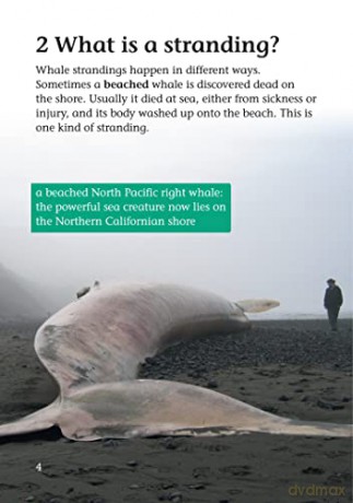 Whale Strandings Band 10+ White Plus - Claire Llewellyn [KSIĄŻKA]