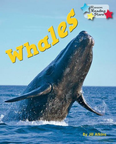 Whales - Jill Atkins [KSIĄŻKA]