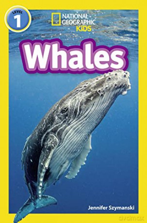 Whales Level 1 [KSIĄŻKA]