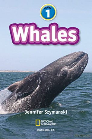 Whales Level 1 [KSIĄŻKA]