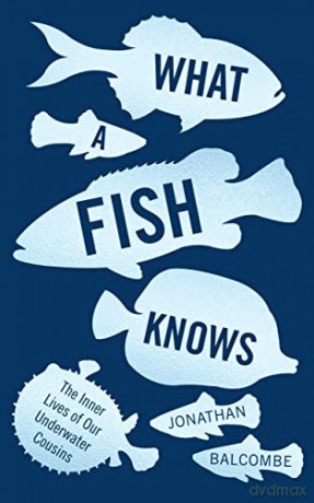 What A Fish Knows - Jonathan Balcombe [KSIĄŻKA]
