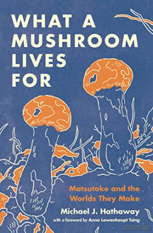 What A Mushroom Lives For - Michael J Hathaway [KSIĄŻKA]