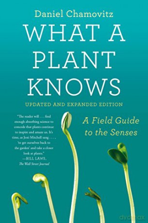 What A Plant Knows Revised - Daniel Chamovitz [KSIĄŻKA]