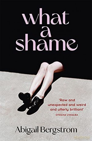 What A Shame - Abigail Bergstrom [KSIĄŻKA]