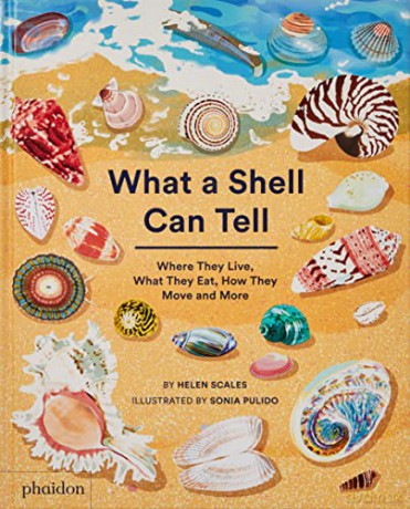 What A Shell Can Tell - Helen Scales [KSIĄŻKA]