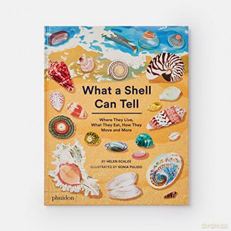 What A Shell Can Tell - Helen Scales [KSIĄŻKA]