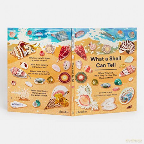 What A Shell Can Tell - Helen Scales [KSIĄŻKA]