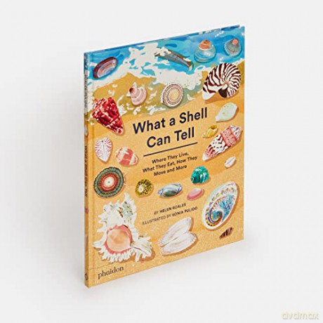 What A Shell Can Tell - Helen Scales [KSIĄŻKA]