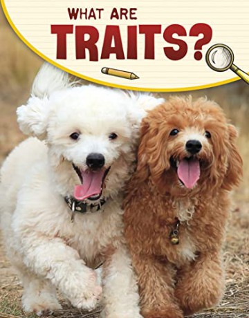 What Are Traits - Emily Sohn [KSIĄŻKA]