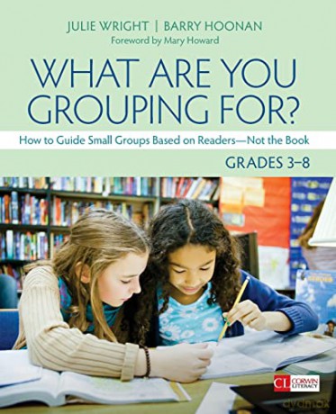What Are You Grouping For Grades 38 - Julie T. Wright~Barr [KSIĄŻKA]