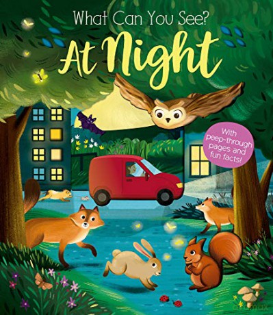 What Can You See At Night - Ware Kate [KSIĄŻKA]