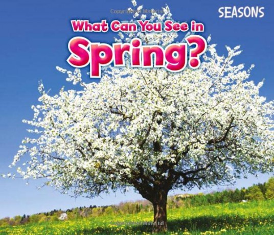 What Can You See In Spring - Sian Smith [KSIĄŻKA]