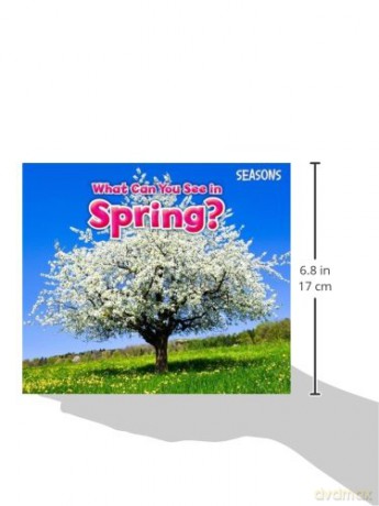 What Can You See In Spring - Sian Smith [KSIĄŻKA]