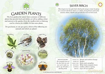 What Can You Spot In The Garden - Ben Et Al Hoare [KSIĄŻKA]