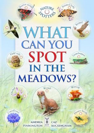 What Can You Spot In The Meadows - Ben Et Al Hoare [KSIĄŻKA]