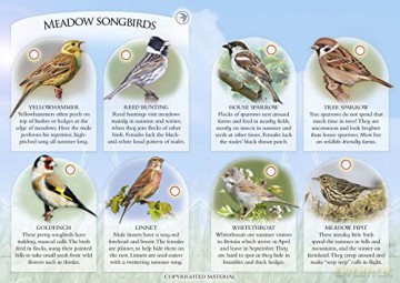What Can You Spot In The Meadows - Ben Et Al Hoare [KSIĄŻKA]