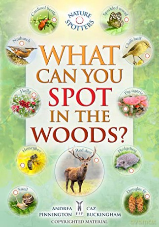 What Can You Spot In The Woods - Ben Et Al Hoare [KSIĄŻKA]