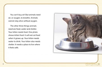 What Do Animals Need To Survive - Lisa M. Bolt Simons [KSIĄŻKA]