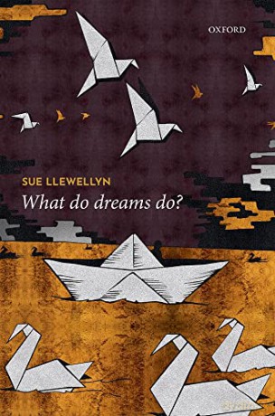 What Do Dreams Do - Sue Llewellyn [KSIĄŻKA]