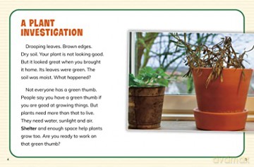 What Do Plants Need To Survive - Emily Raij [KSIĄŻKA]