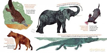 What Do You Do With A Tail Like This Bil - Steve Jenkins [KSIĄŻKA]
