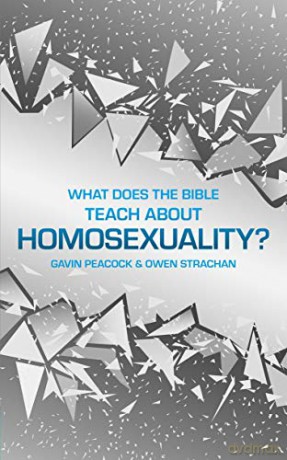 What Does The Bible Teach About Homosexu - Peacock Gavin [KSIĄŻKA]