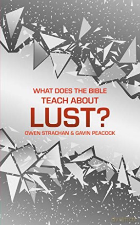 What Does The Bible Teach About Lust - Peacock Gavin [KSIĄŻKA]