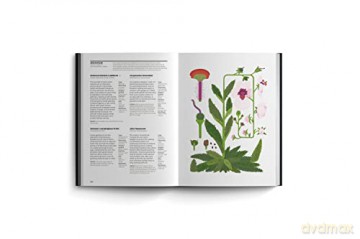 What Gardeners Grow - Bloom [KSIĄŻKA]
