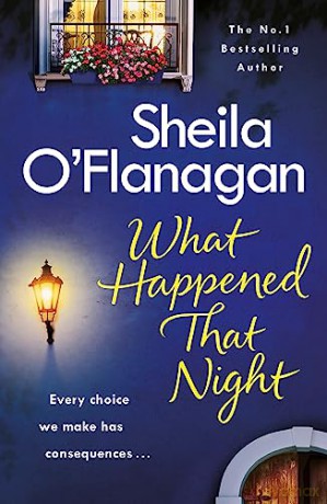What Happened That Night - Sheila O'flanagan [KSIĄŻKA]