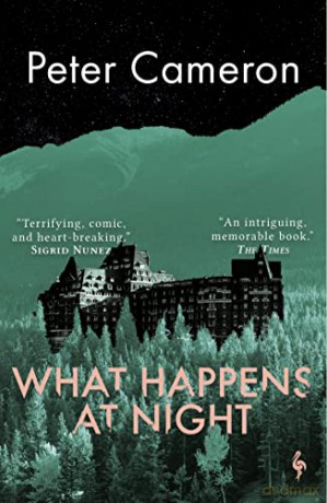 What Happens At Night - Peter Cameron [KSIĄŻKA]