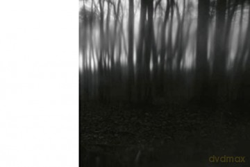 What Happens In The Dark - Aili Markelius [KSIĄŻKA]