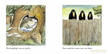 What Hedgehog Likes Best - Erwin Moser [KSIĄŻKA]