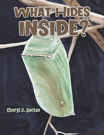 What Hides Inside - Cheryl J. Sachse [KSIĄŻKA]