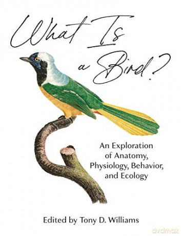 What Is A Bird - Tony (Edit Williams [KSIĄŻKA]