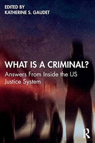 What Is A Criminal - Katherine S. Gaudet [KSIĄŻKA]