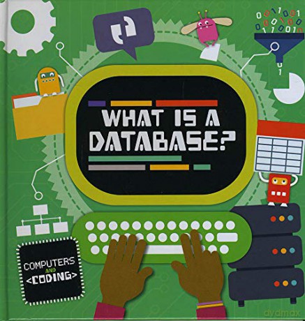 What Is A Database - Kirsty Holmes [KSIĄŻKA]