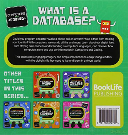 What Is A Database - Kirsty Holmes [KSIĄŻKA]