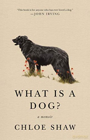 What Is A Dog - Chloe Shaw [KSIĄŻKA]