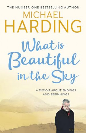 What Is Beautiful In The Sky - Michael Harding [KSIĄŻKA]