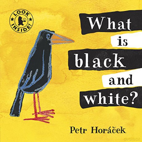 What Is Black And White - Horacek Petr [KSIĄŻKA]