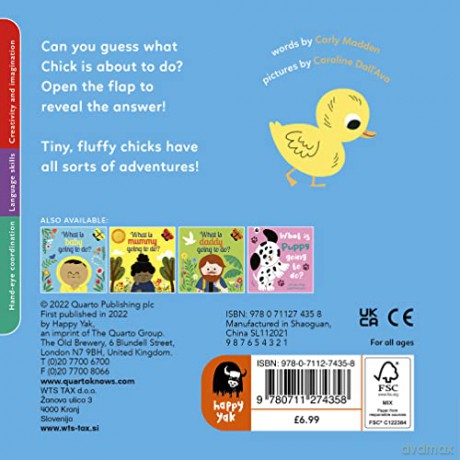 What Is Chick Going To Do - Carly Madden [KSIĄŻKA]