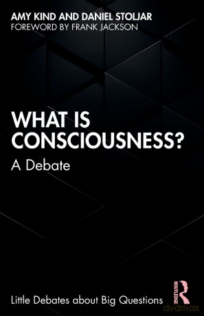What Is Consciousness - Amy Kind [KSIĄŻKA]