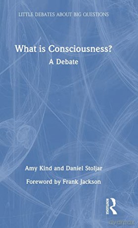 What Is Consciousness - Amy Kind [KSIĄŻKA]