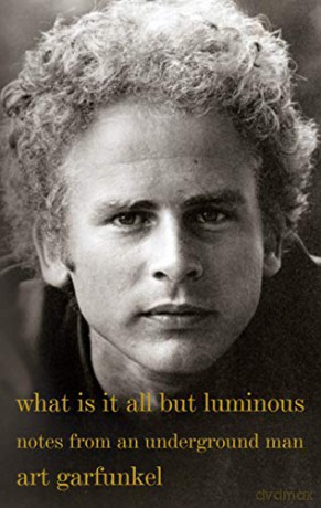 What Is It All But Luminous - Art Garfunkel [KSIĄŻKA]