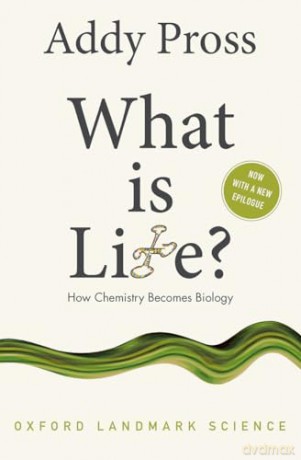 What Is Life - Addy Pross [KSIĄŻKA]