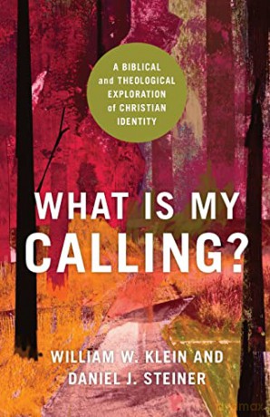 What Is My Calling - Klein William W [KSIĄŻKA]