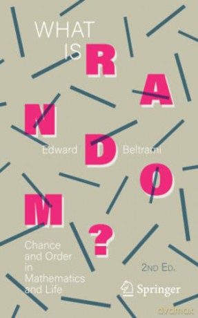 What Is Random - Edward Beltrami [KSIĄŻKA]