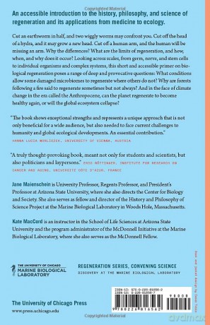 What Is Regeneration - Jane Maienschein [KSIĄŻKA]